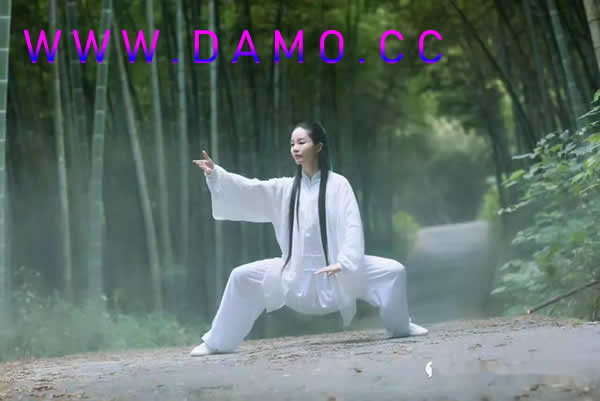 胎息 胎息经