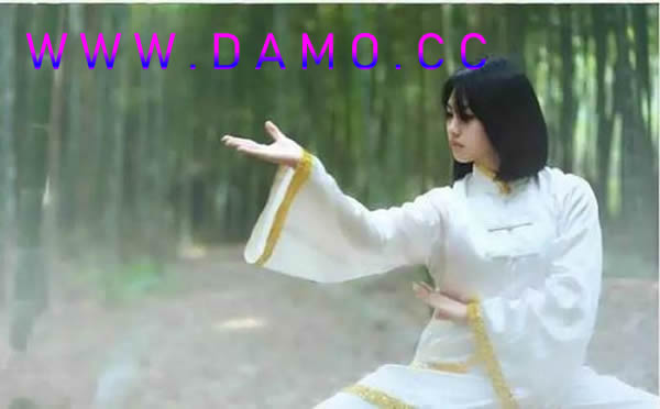 心意把 易筋经