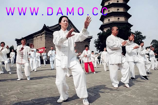 洗髓经 易筋经