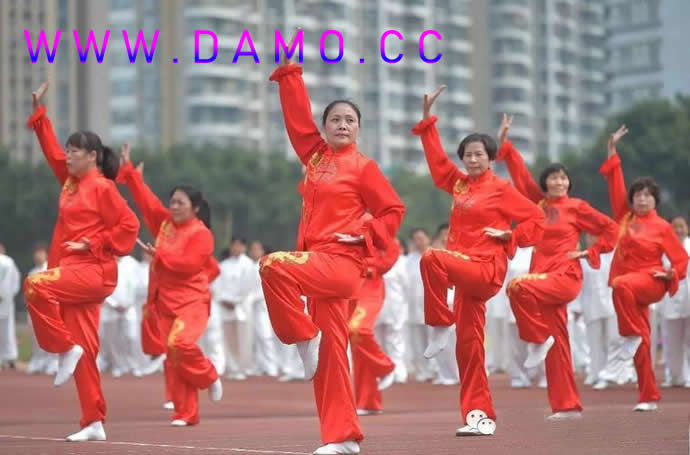 洗髓经 易筋经